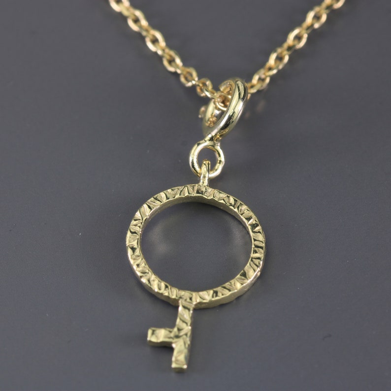 May include: A gold necklace with a textured, circular pendant in the shape of the female symbol.
