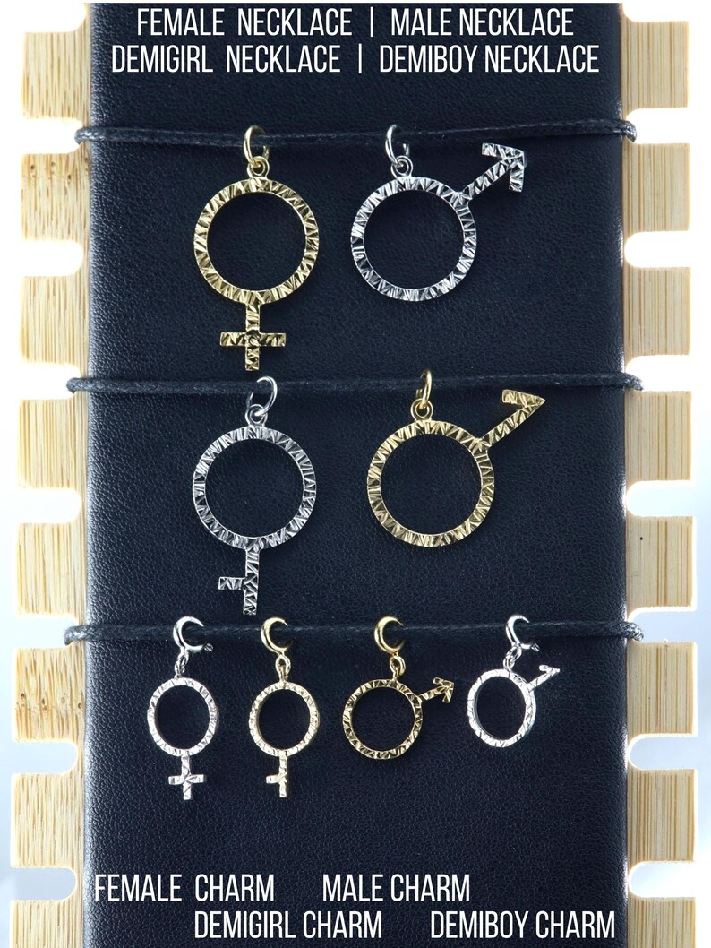 Sterling Silver Female, Male, Venus, Mars, Demiboy, Demigirl: Necklace, Charm, Pendant, Gift image 1