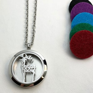High Quality STAINLESS STEEL DIFFUSER locket for your essential oils, favorite scent on 24&quot; necklace. Perfect Gift. Non-Toxic Car freshener.