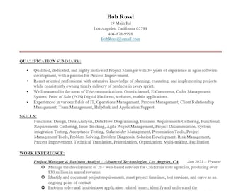 2 Page Executive Senior Project Manager CV Resume ATS Friendly Template