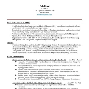 2 Page Clean Professional Senior Innovation Analyst ATS Friendly CV Resume Template