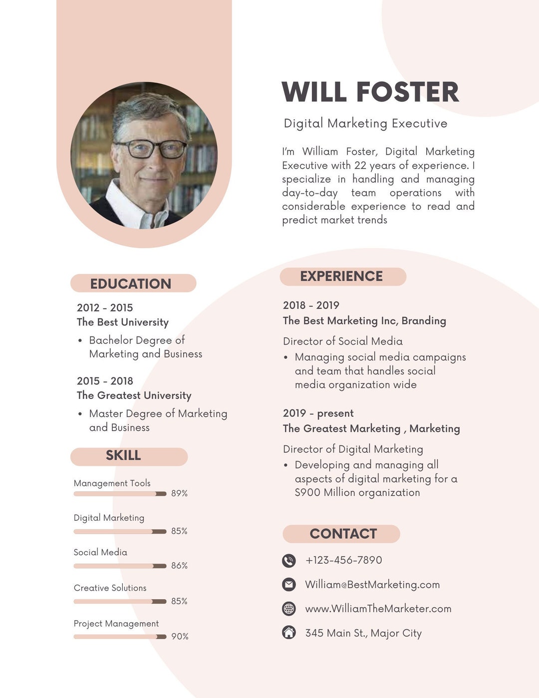Modern Resume CV Template With Photo White Pink Etsy