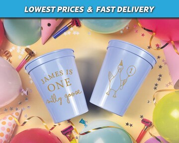 One Silly Goose 1st Birthday Cups, First Birthday Stadium Cups, Goose Party Cups, Silly Goose Birthday Vintage, Silly Goose Party Decor