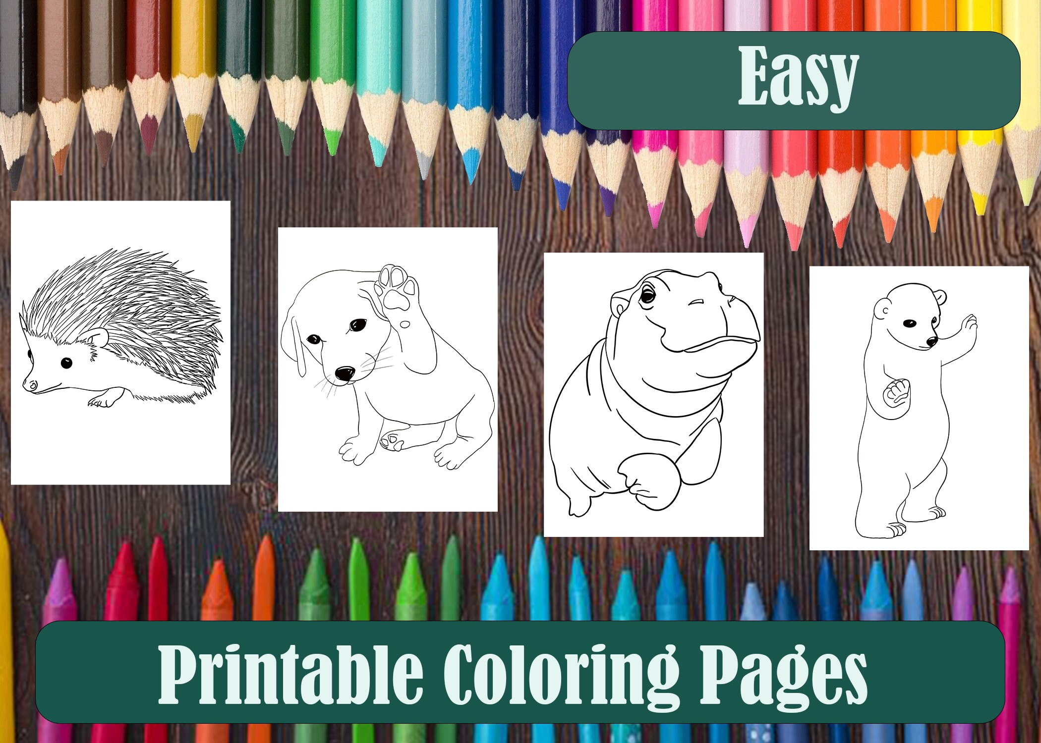 Easy Printable Children's Animal Coloring Pages - Etsy