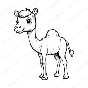 Camel Printable Coloring Svg Bundle - Baby Camel Svg - Camel Svg Bundle ...
