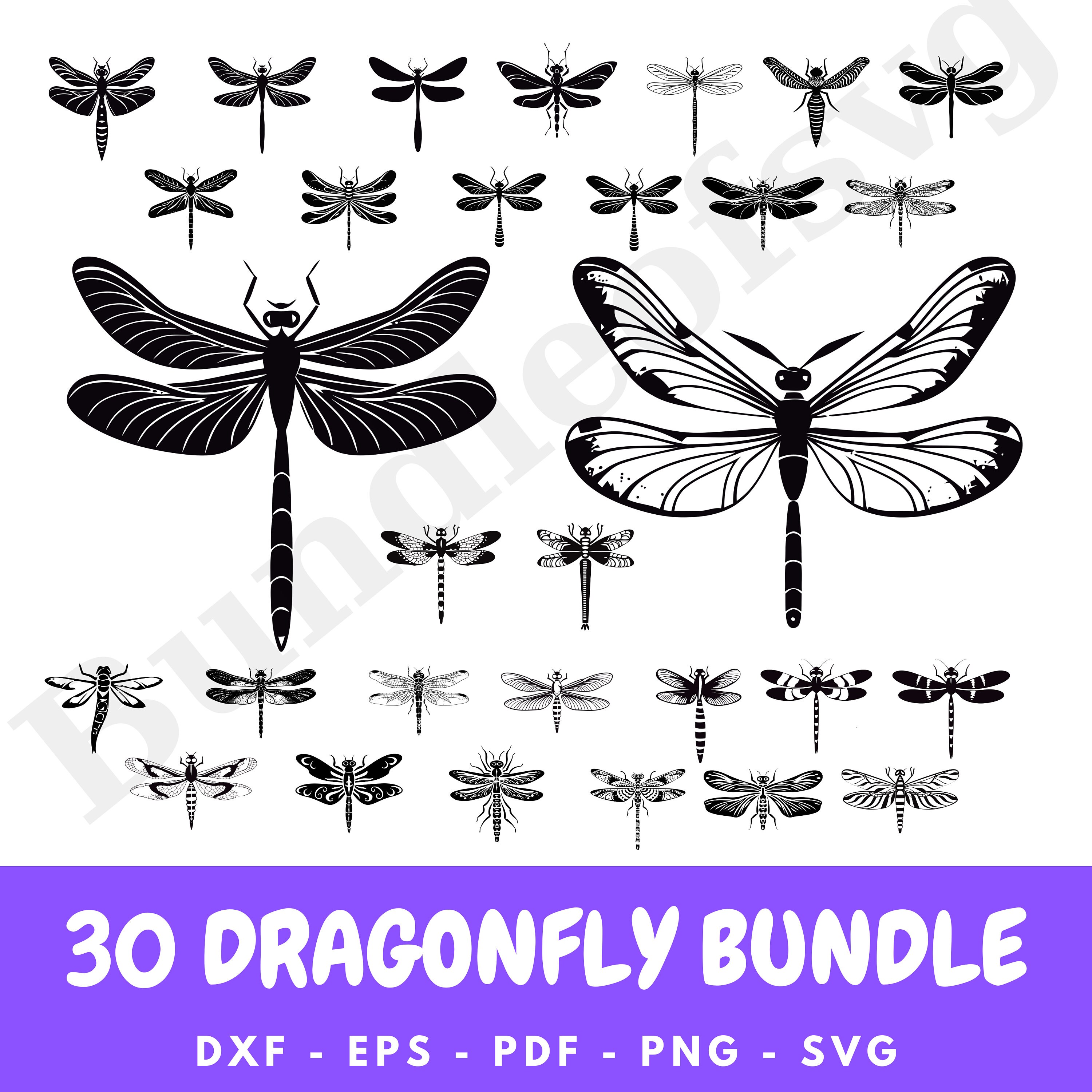 Dragonfly SVG Bundle - Intricate Dragonfly Silhouettes - Nature ...
