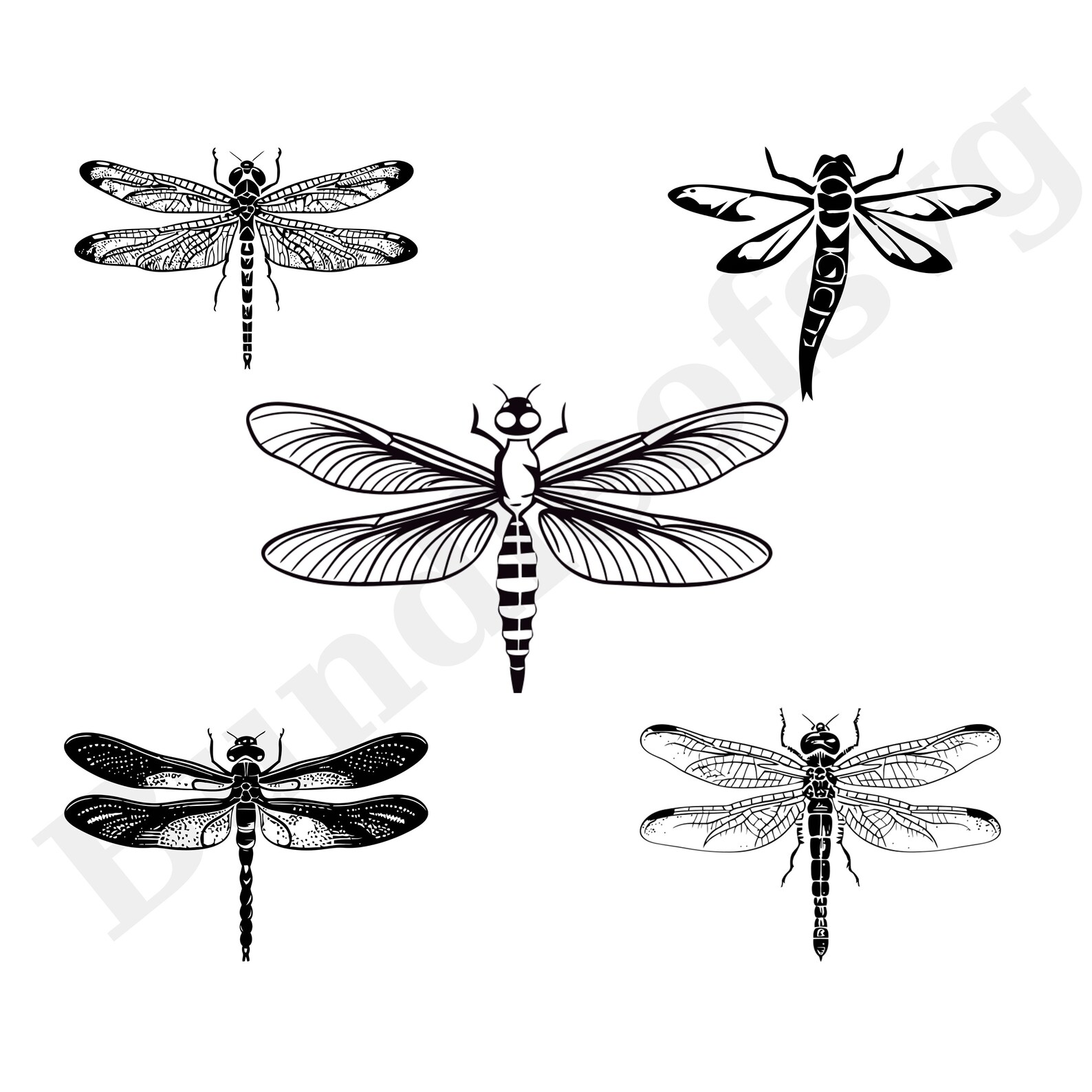 Dragonfly SVG Bundle - Intricate Dragonfly Silhouettes - Nature ...
