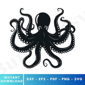 May include: Black silhouette of an octopus with eight tentacles. The octopus is facing forward with its eyes visible.