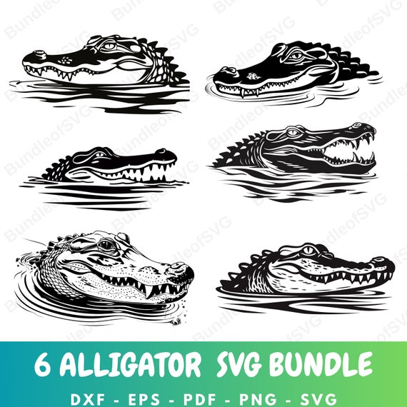 Alligator Vector Drawing