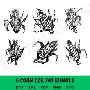 Corn SVG Bundle - Corn Cob Svg Bundle - Corn clipart - Farm Svg - Vegetable svg - Food svg - SVG Files for Cricut - Digital Download