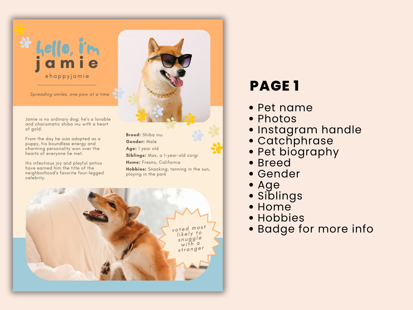 Pet Influencer Media Kit Canva Template Dogfluencer Pet Media - Etsy
