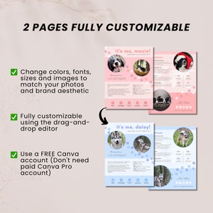Pet Influencer Media Kit Canva Template Dogfluencer Pet Media Kit Rate ...