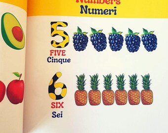 My First Italian Book Il Mio Primo Libro Italiano Learning English