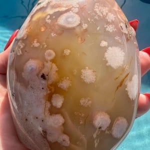 Flower agate freeform 1pound 12oz