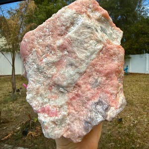 May include: A large, rough-hewn rock with a mix of pink and white hues. The stone has a textured surface and irregular shape, with areas of solid pink and patches of white. The rock is held in a hand, with a blurred outdoor background.