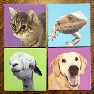Custom Coaster with Pet Portrait, Dog Coasters, Cat Coasters, Dog Lover Gift, Pet Lover Gift, Cat Lover Gift, Pet Memorial, Photo Gift