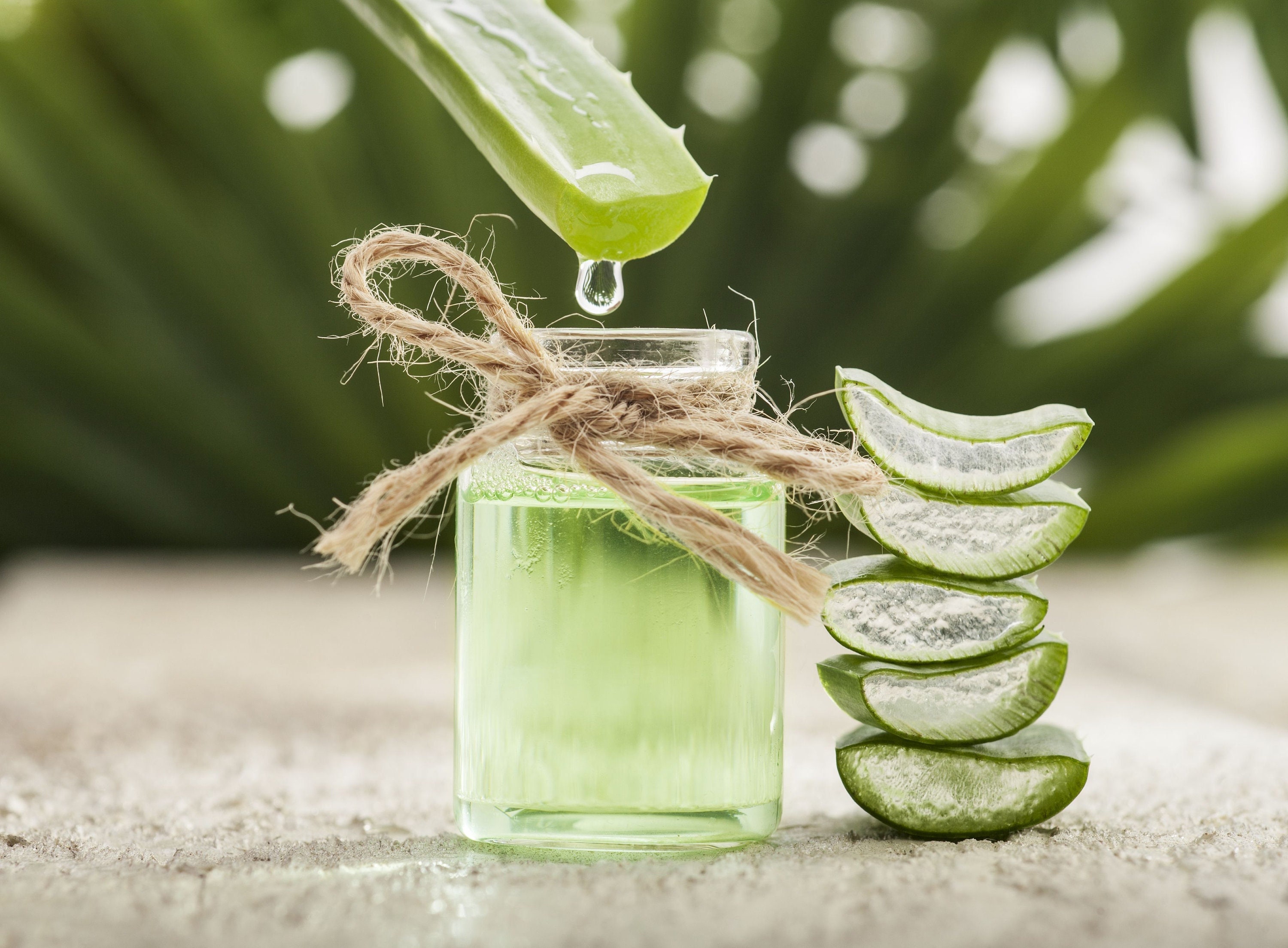 Aloe Vera Hair Gel - Etsy Aloe Vera Hair Gel - Etsy