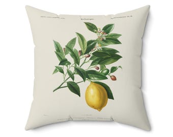 Vintage Botanique Lemon Throw Pillow, Vintage Style Illustration, Home Decor, Bedroom Decor, All Over Print, Sofa Pillows