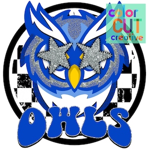 Owls preppy mascot png | digital download | royal black white silver owl mascot design