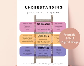 8.5x11 Nervous System States - Therapy Wall Art - Polyvagal Theory