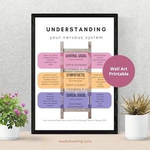 Nervous System States - Therapy Wall Art - Polyvagal Theory