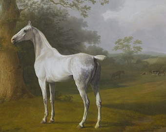 Vintage Horse Samsung Frame TV Art, digital download, horse painting, equestrian decor, arabian horse, farmhouse wall art, grandmillenial