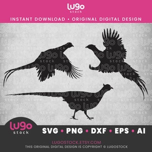 Fasan Jagd SVG | Fasan Silhouette | Fasan SVG | Upland Spiel SVG | DIGITALER DOWNLOAD | svg | png | dxf | eps | ai | Cricut svg