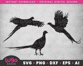 Pheasant Hunting SVG | Pheasant Silhouette | Pheasant Svg | Upland Game Svg | DIGITAL DOWNLOAD | svg | png | dxf | eps | ai | Cricut svg