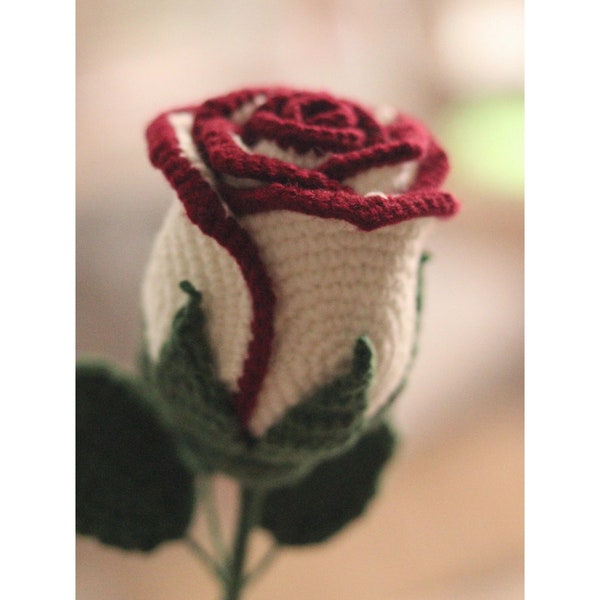 Roses élégantes : motif de roses au crochet pour des créations élégantes