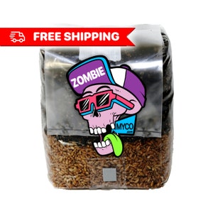 MINI MAGIC Mushroom Grow Bag - 3lb