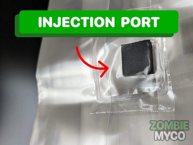 May include: A close-up of a black injection port on a clear plastic bag. The bag is labeled "Zombie Myco".