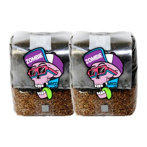 May include: Two clear plastic bags filled with brown grain and sealed with a white sticker. Each bag has a colorful sticker with a cartoon skull wearing sunglasses and a baseball cap that says "Zombie" and "Myco.com".