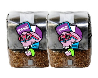 2x "MINI MAGIC" Mushroom Grow Bag - 3lb (6lb TOTAL)