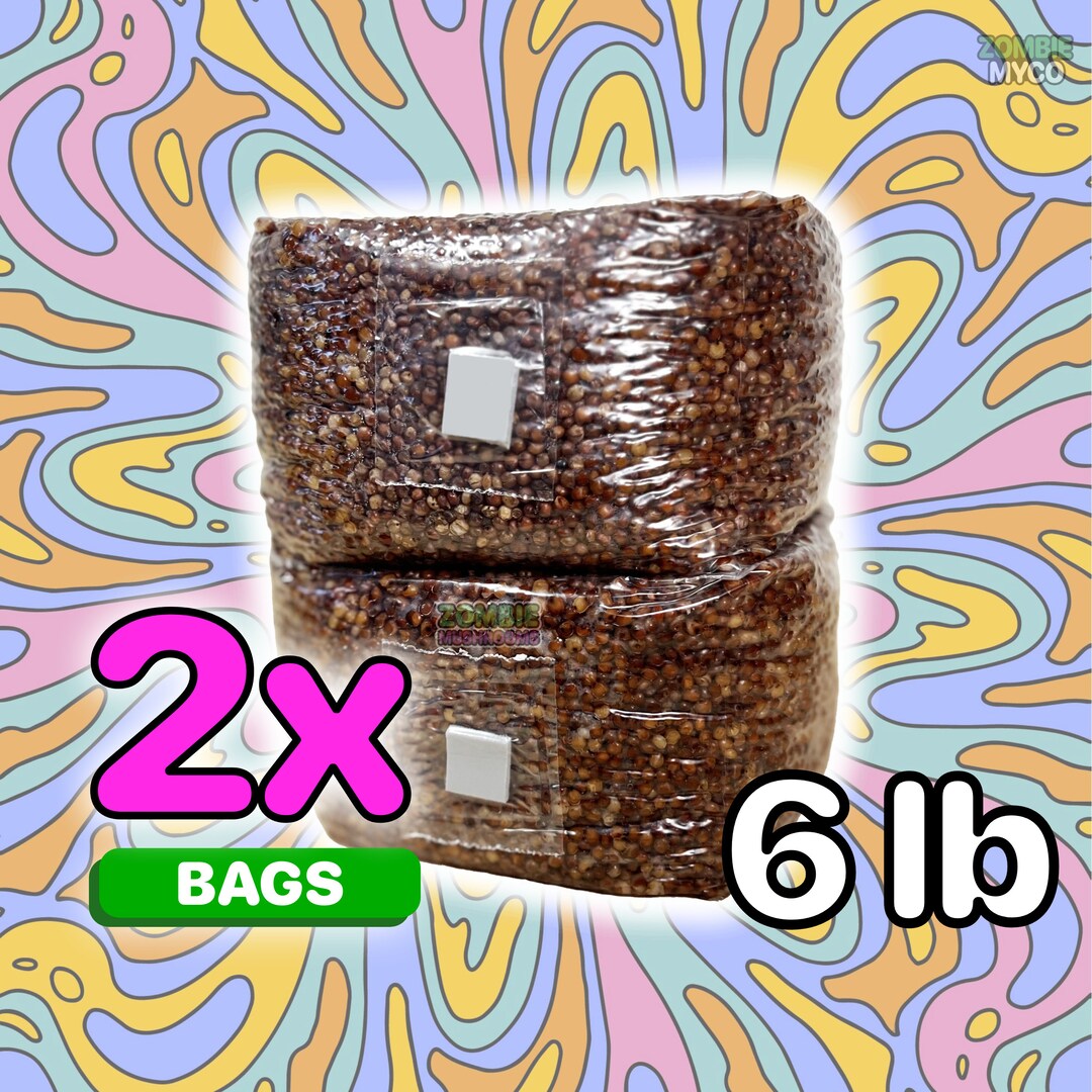 2x Grain Spawn Bags Fast Shipping Milo Millet Grain Bags Etsy