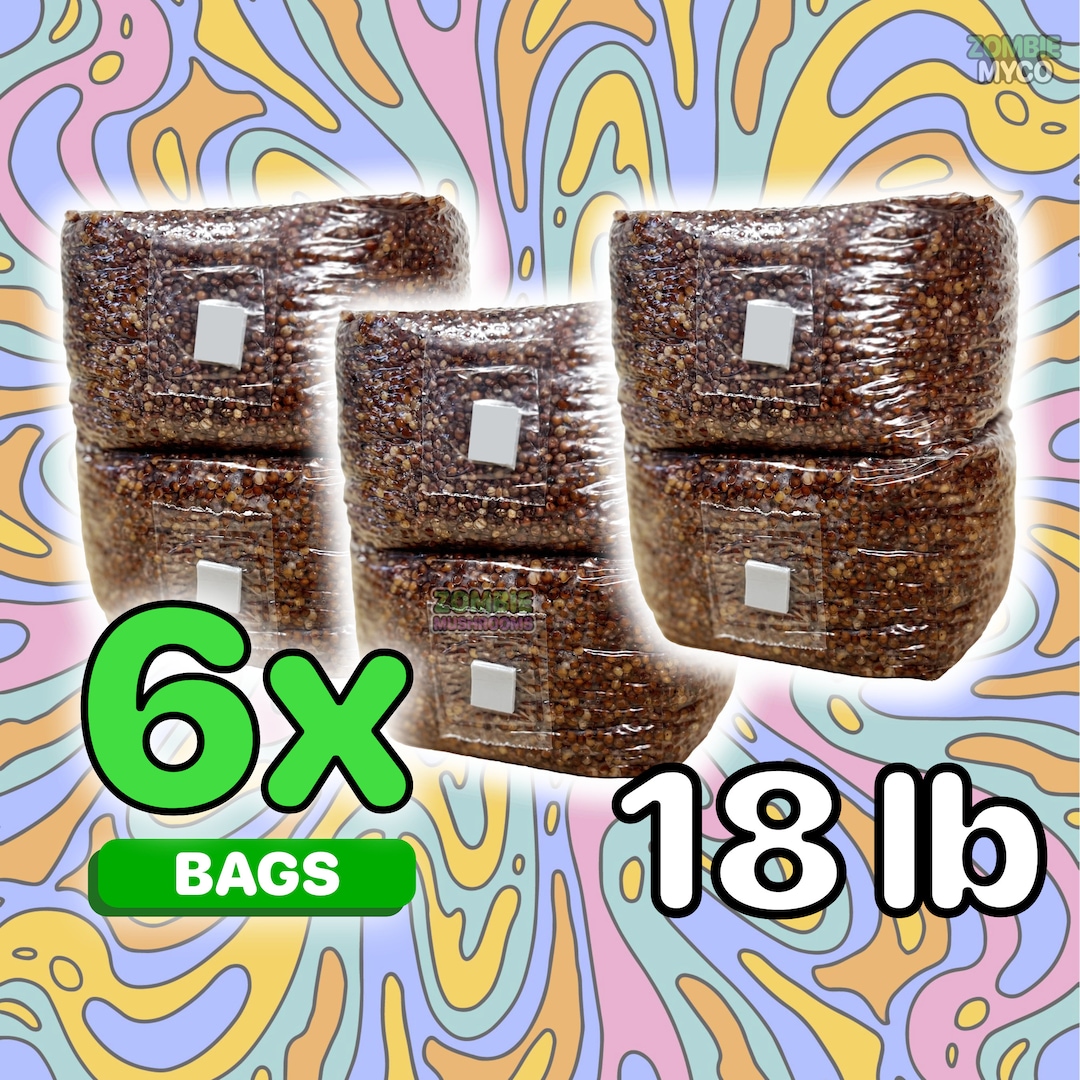 6x 18lbs Grain Spawn Bags Milo Millet Grain Bags Etsy