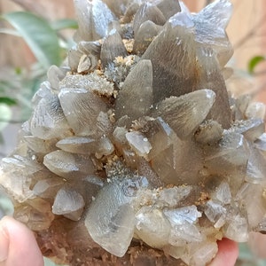 670g Natural Gemstone Smoky Dog Tooth Calcite Cluster Mineral Specimen Crystal zdjęcie 3