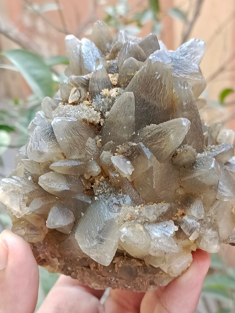 670g Natural Gemstone Smoky Dog Tooth Calcite Cluster Mineral Specimen Crystal zdjęcie 3