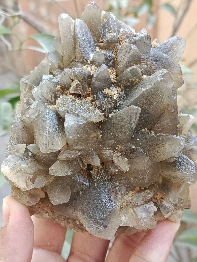 670g Natural Gemstone Smoky Dog Tooth Calcite Cluster Mineral Specimen Crystal zdjęcie 6