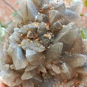 670g Natural Gemstone Smoky Dog Tooth Calcite Cluster Mineral Specimen Crystal zdjęcie 10