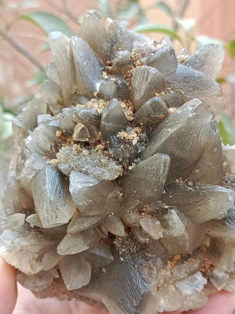 670g Natural Gemstone Smoky Dog Tooth Calcite Cluster Mineral Specimen Crystal zdjęcie 10