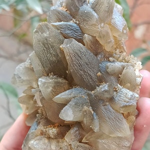 670g Natural Gemstone Smoky Dog Tooth Calcite Cluster Mineral Specimen Crystal zdjęcie 5