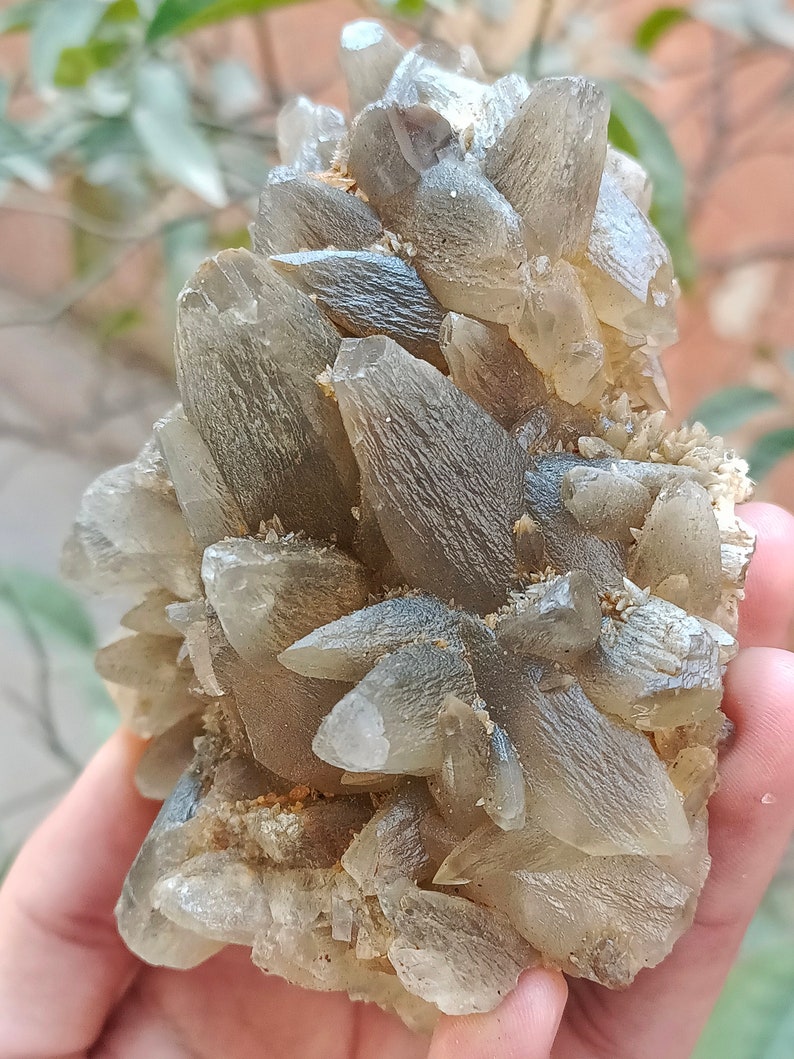 670g Natural Gemstone Smoky Dog Tooth Calcite Cluster Mineral Specimen Crystal zdjęcie 5