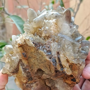 670g Natural Gemstone Smoky Dog Tooth Calcite Cluster Mineral Specimen Crystal zdjęcie 4