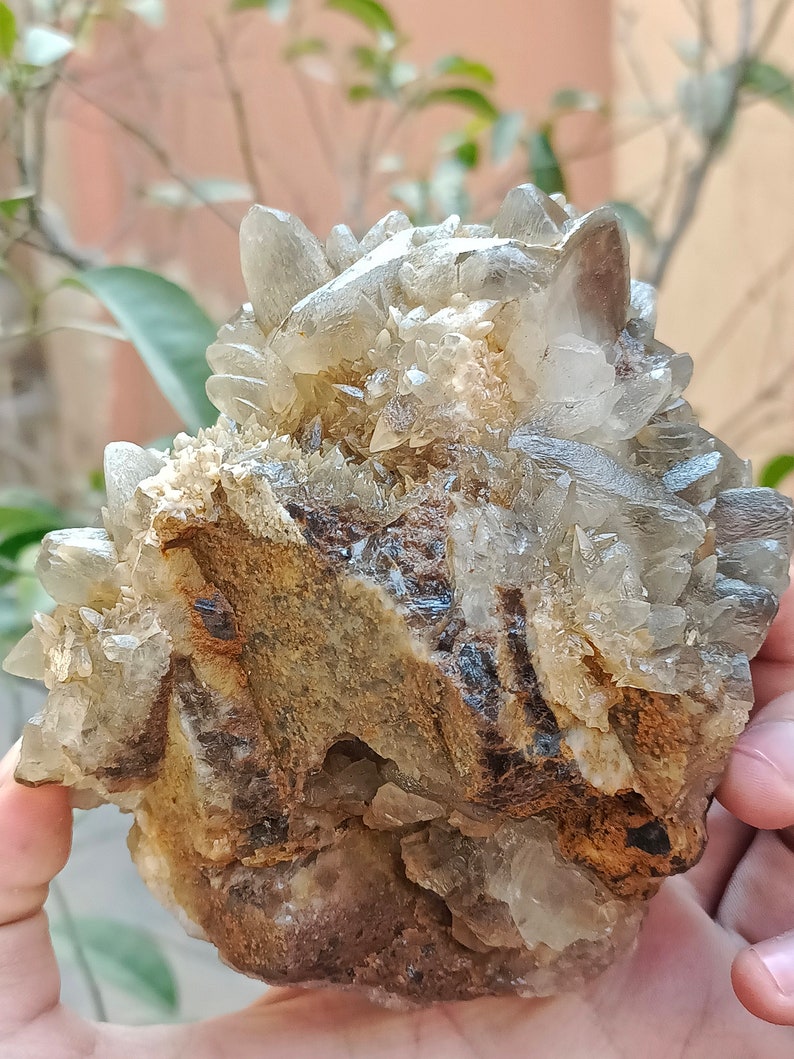 670g Natural Gemstone Smoky Dog Tooth Calcite Cluster Mineral Specimen Crystal zdjęcie 4