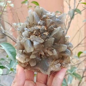 670g Natural Gemstone Smoky Dog Tooth Calcite Cluster Mineral Specimen Crystal zdjęcie 2