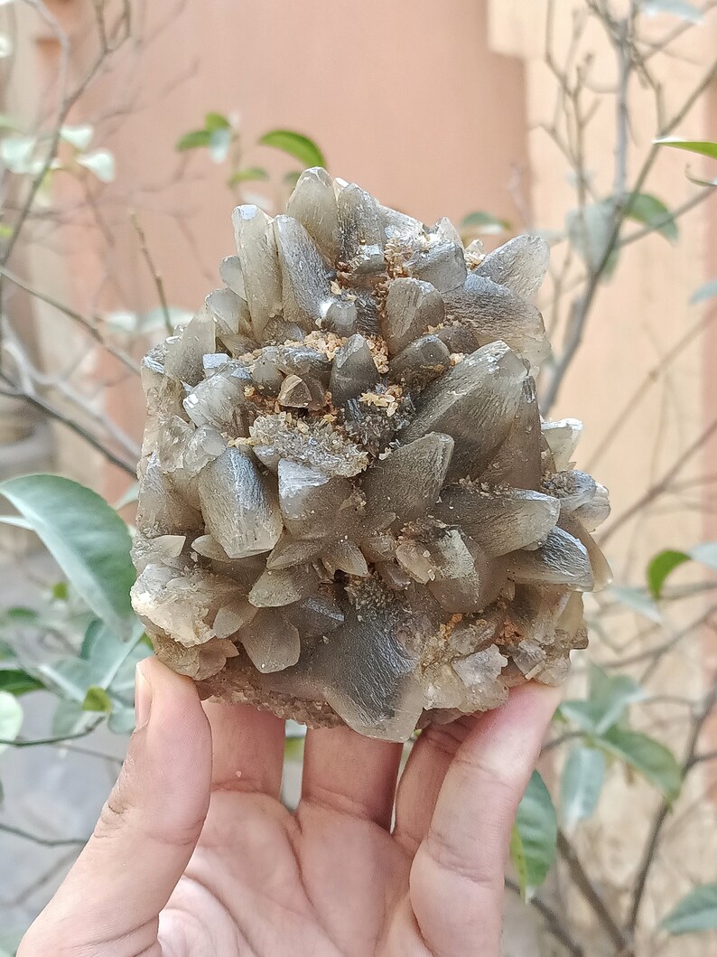 670g Natural Gemstone Smoky Dog Tooth Calcite Cluster Mineral Specimen Crystal zdjęcie 2