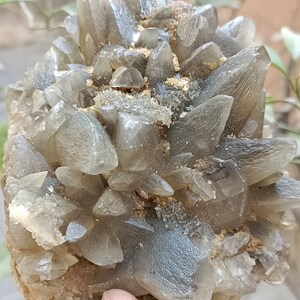 670g Natural Gemstone Smoky Dog Tooth Calcite Cluster Mineral Specimen Crystal zdjęcie 8