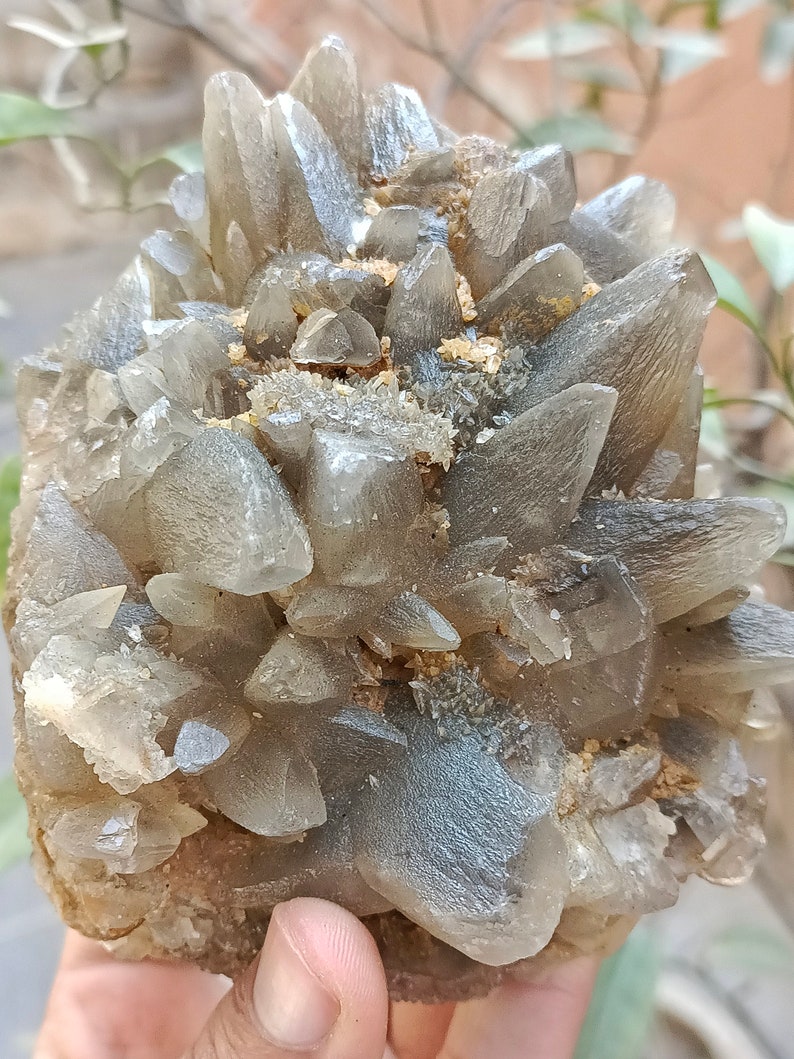 670g Natural Gemstone Smoky Dog Tooth Calcite Cluster Mineral Specimen Crystal zdjęcie 8