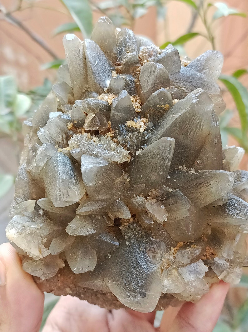 670g Natural Gemstone Smoky Dog Tooth Calcite Cluster Mineral Specimen Crystal zdjęcie 7