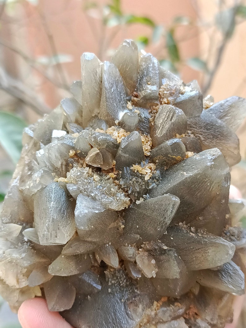 670g Natural Gemstone Smoky Dog Tooth Calcite Cluster Mineral Specimen Crystal zdjęcie 9